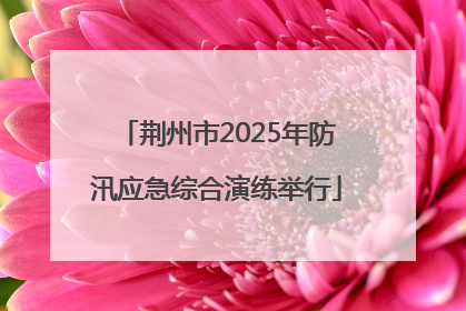 荆州市2025年防汛应急综合演练举行